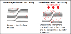 Crosslinking illustration